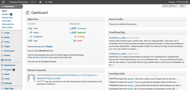 WordPress Website