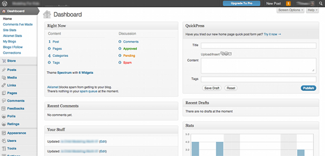 WordPress Website